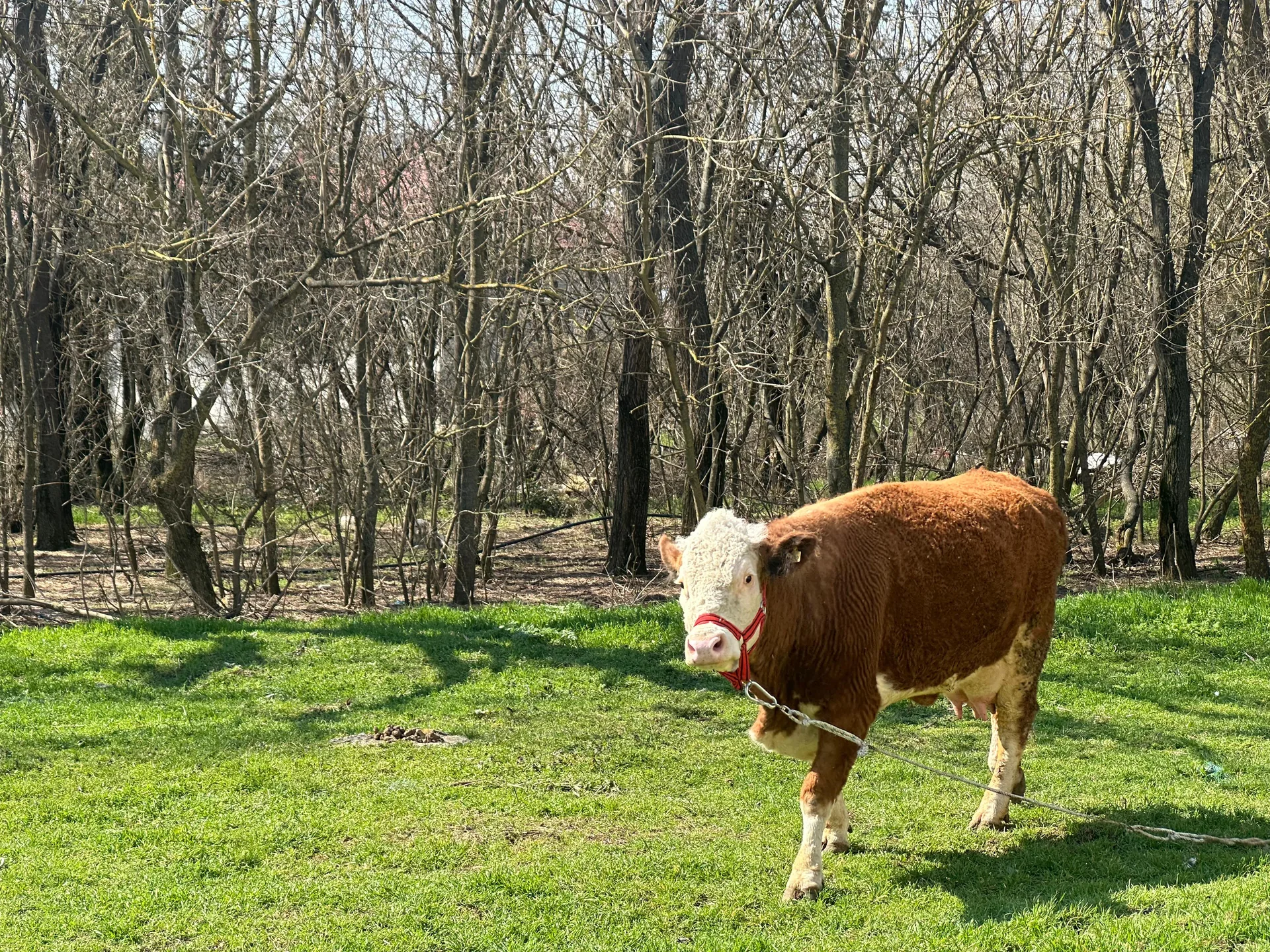 Gospodărie mănăstirească