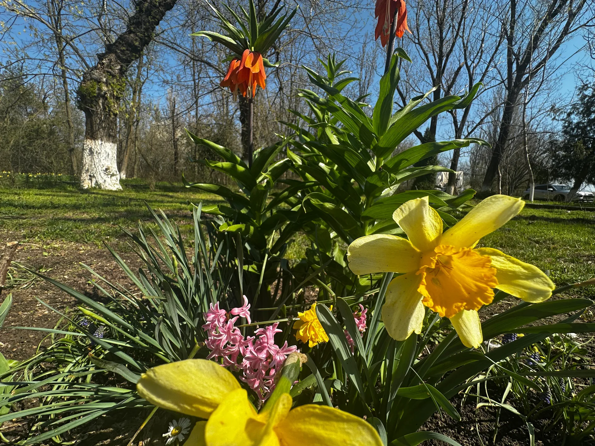 Grădina mănăstirii